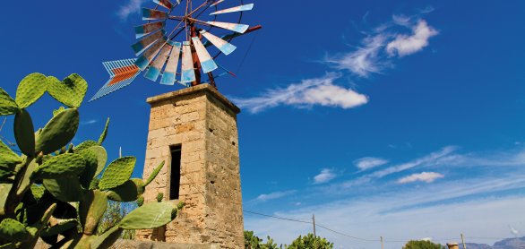 Windmühle auf Mallorca © Jürgen Fälchle-fotolia.com