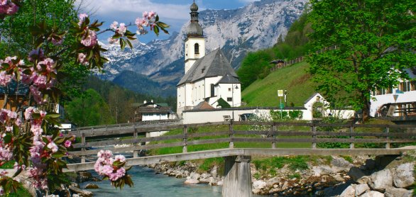 Pfarrkirche Ramsau mit Japan. Kirschblüte © Archiv Berchtesgadener Land Tourismus GmbH
