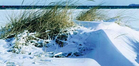 Winterstimmung an der Ostsee © LTS
