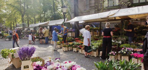 Blumenmarkt auf dem Janskerkhof in Utrecht © Jurjen Drenth/Toerisme Utrecht