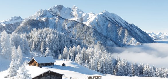 Winterlandschaft in den Alpen © Olha Sydorenko-fotolia.com