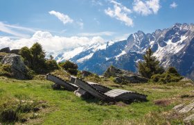  © Britta Laser-fotolia.com