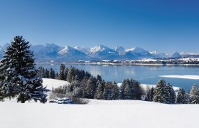  © Wolfilser - stock.adobe.com