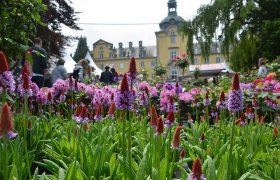  &copy; Landpartie Schloss Bückeburg