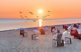  © haiderose - stock.adobe.com