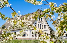  © Sven Fuchs - stock.adobe.com