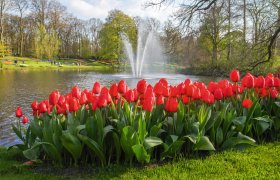  &copy; Keukenhof Holland