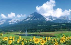 © TVB Wilder Kaiser