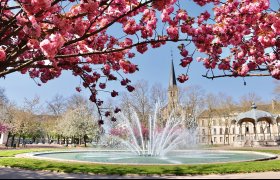  &copy; Denis - stock.adobe.com