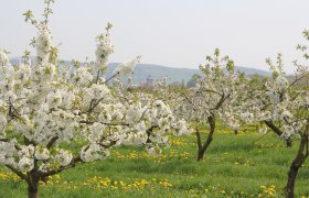  &copy; HA Hessen Tourismus/Claudia Krabbes