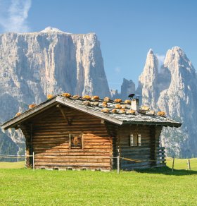  © Andreas Tabbert -fotolia.com