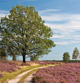  © Thorsten Schier-shutterstock.com/2013