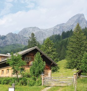  © hofi777-fotolia.com