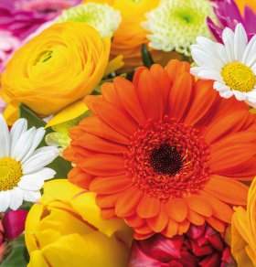  © Fotolia.com