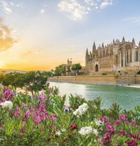  © Balate Dorin-fotolia.com