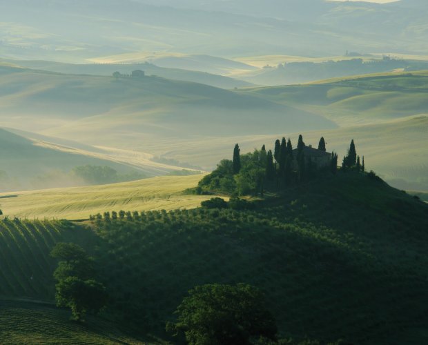 © LianeM - Fotolia.com