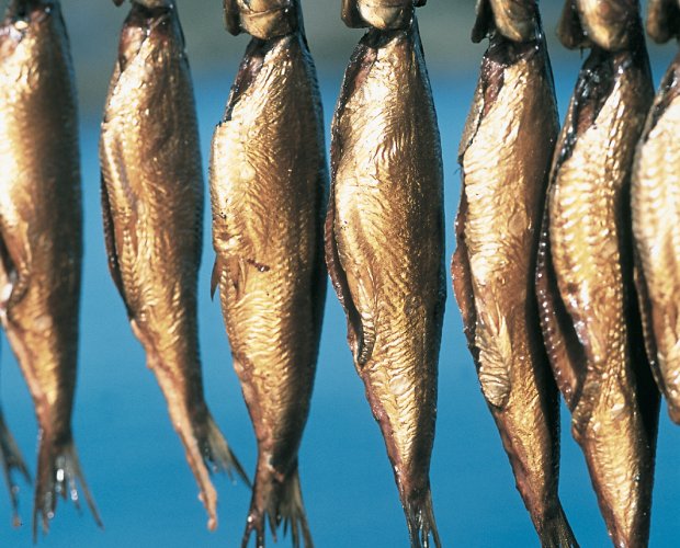 © www.visitdenmark.com