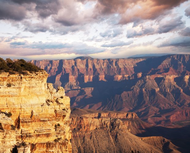 © G.Andrushko-shutterstock.com/2013