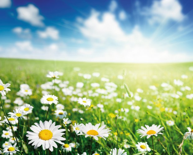 © Iakov Kalinin - fotolia.com