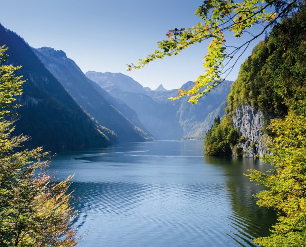 © Schwoab - fotolia.com