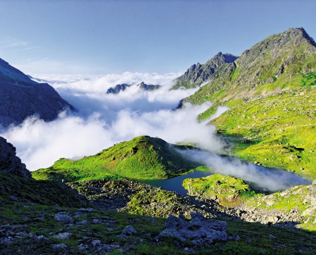 © Samuele Gallini - fotolia.com