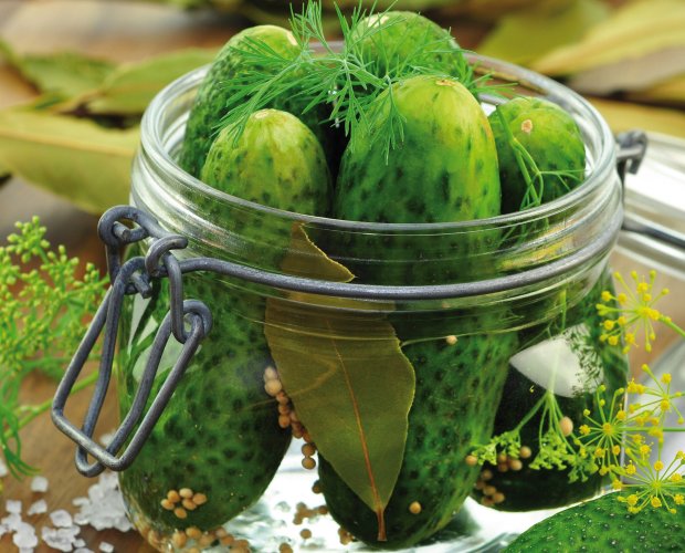 © Printemps - stock.adobe.com