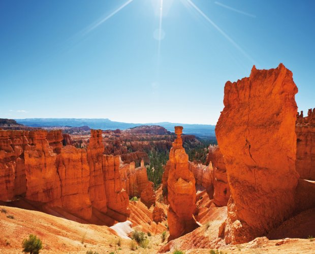 © Galyna Andrushko-fotolia.com