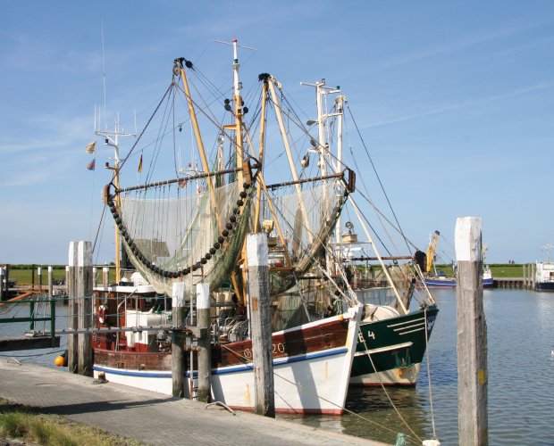 © Kurverwaltung Norden-Norddeich