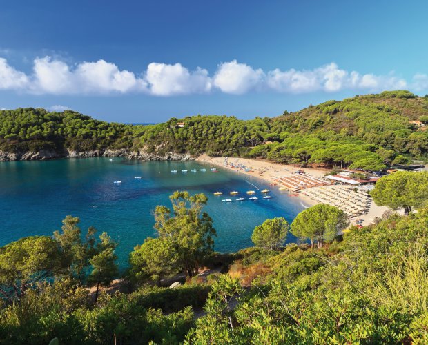 © antonio scarpi-fotolia.com