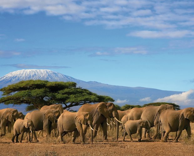 © paul hampton - Fotolia.com