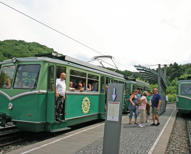 © Tourismus Siebengebirge GmbH