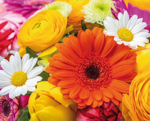 © Fotolia.com