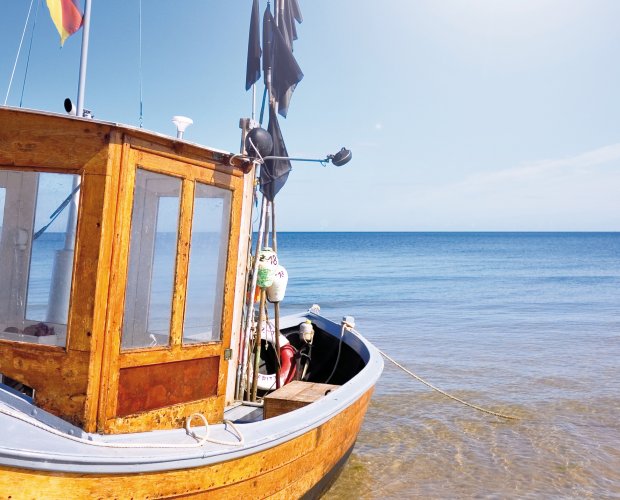 © Kathleen Rekowski-stock.adobe.com