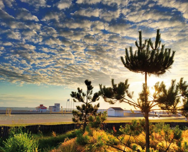 © arnaudll-fotolia.com