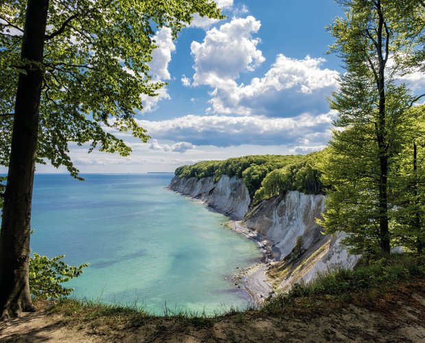 &copy; Rico Ködder - stock.adobe.com