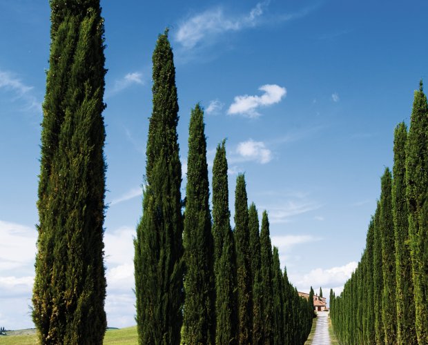 © gkrphoto-fotolia.com