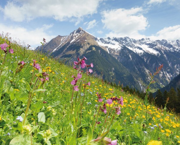 © by paul-fotolia.com
