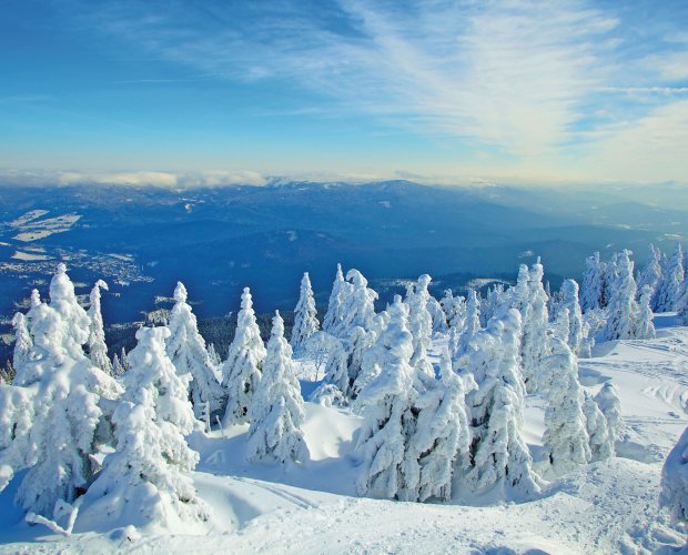 © bietau-fotolia.com