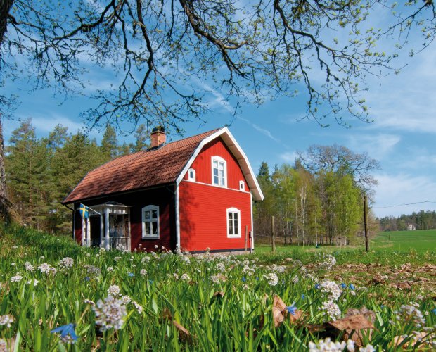 © Almgren-fotolia.com
