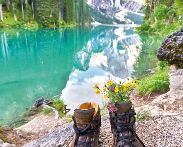 © Jenny Sturm-fotolia.com