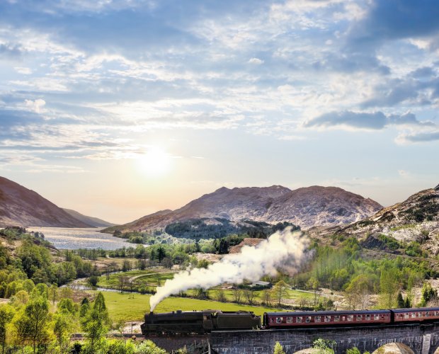 © Tomas Marek - stock.adobe.com