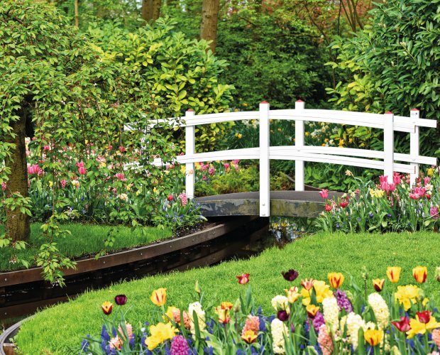 &copy; pixabay.com/MabelAmber