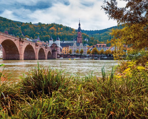 © daliu-fotolia.com