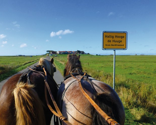 &copy; Insubria/pixabay.com