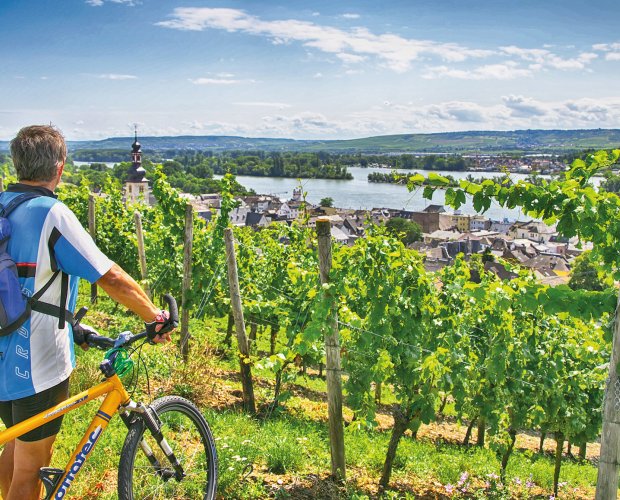 © Rüdesheim Tourist AG