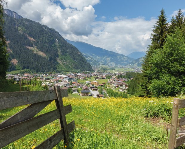 © by paul - stock.adobe.com