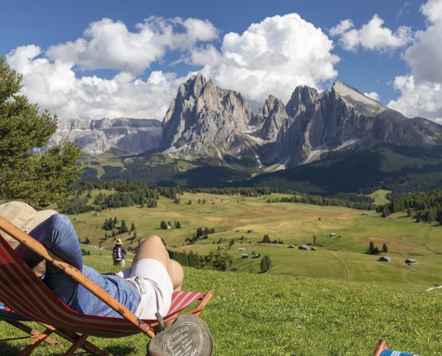 © Tilo Grellmann - stock.adobe.com