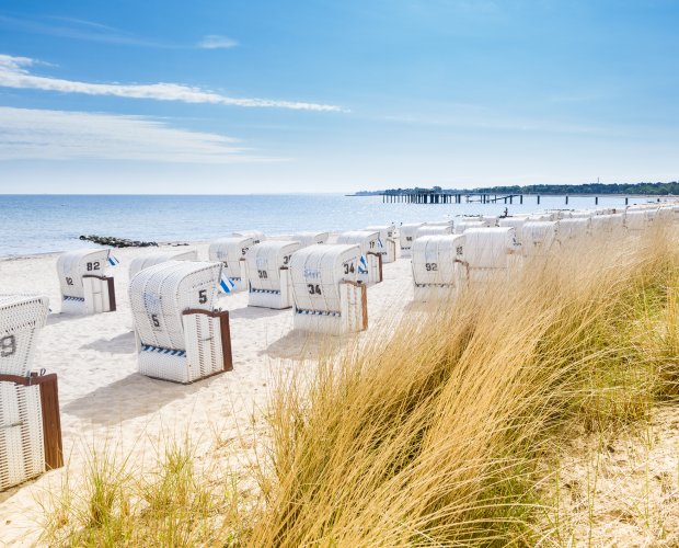 © mmphotographie.de - stock.adobe.com