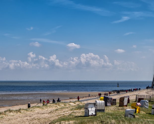 © manovankohr - stock.adobe.com