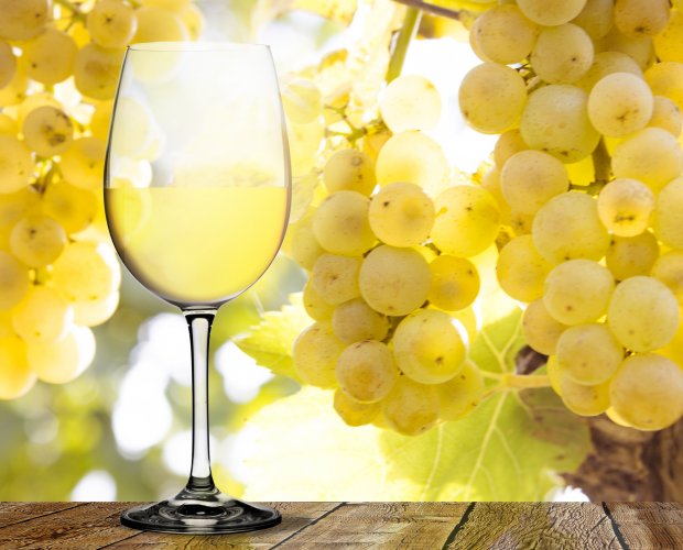 &copy; by-studio - stock.adobe.com